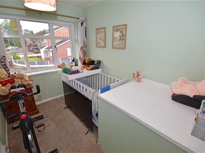 Picture 16